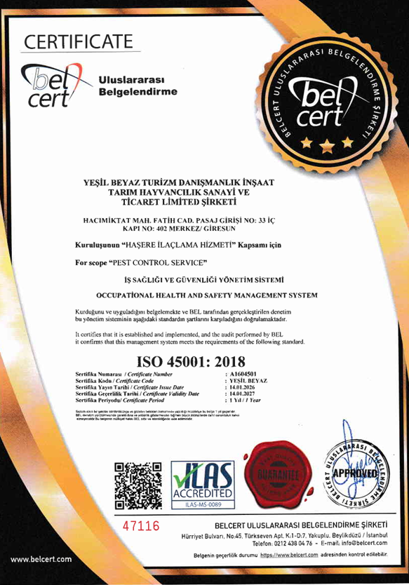 Sertifika 8
